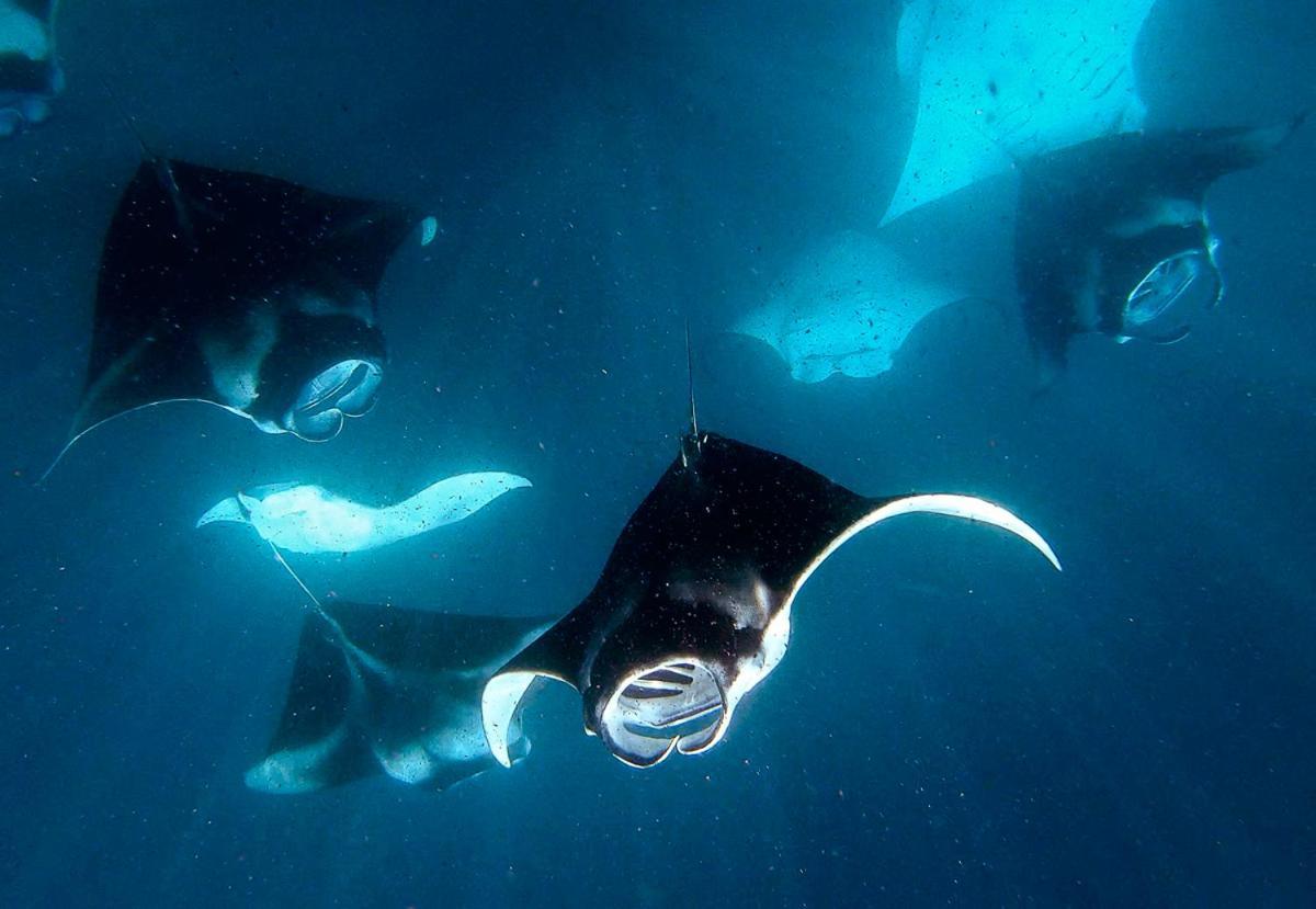 Manta Reserve Maalhos  Exterior photo