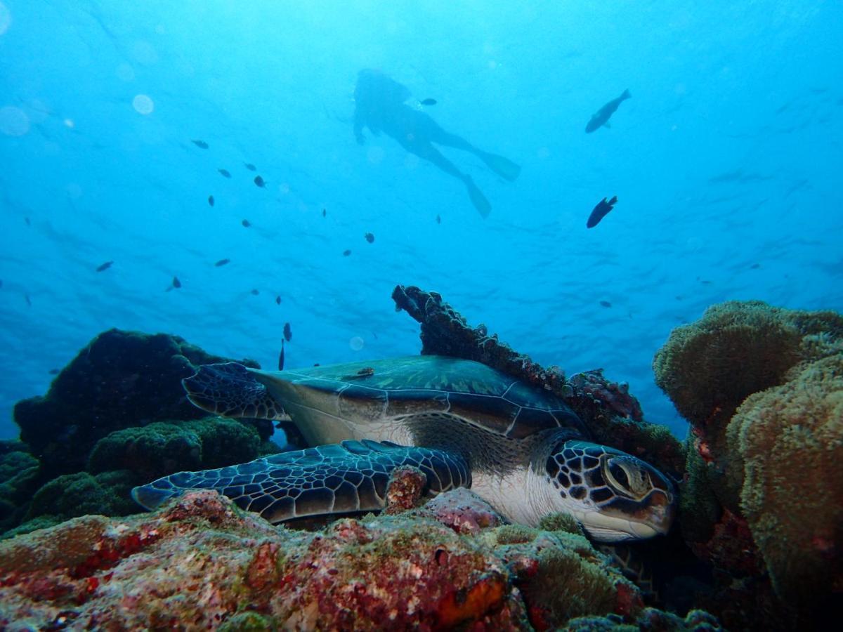Manta Reserve Maalhos  Exterior photo